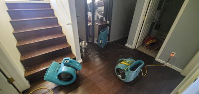 Creaky Floor Repair